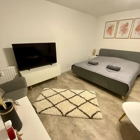 Stilvolle Ferienwohnung Mit Stellplatz Wlan Free Netflix Naehe Bahnhof Zwickau Exterior photo