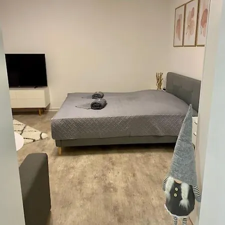 Stilvolle Ferienwohnung Mit Stellplatz Wlan Free Netflix Naehe Bahnhof Zwickau Exterior photo